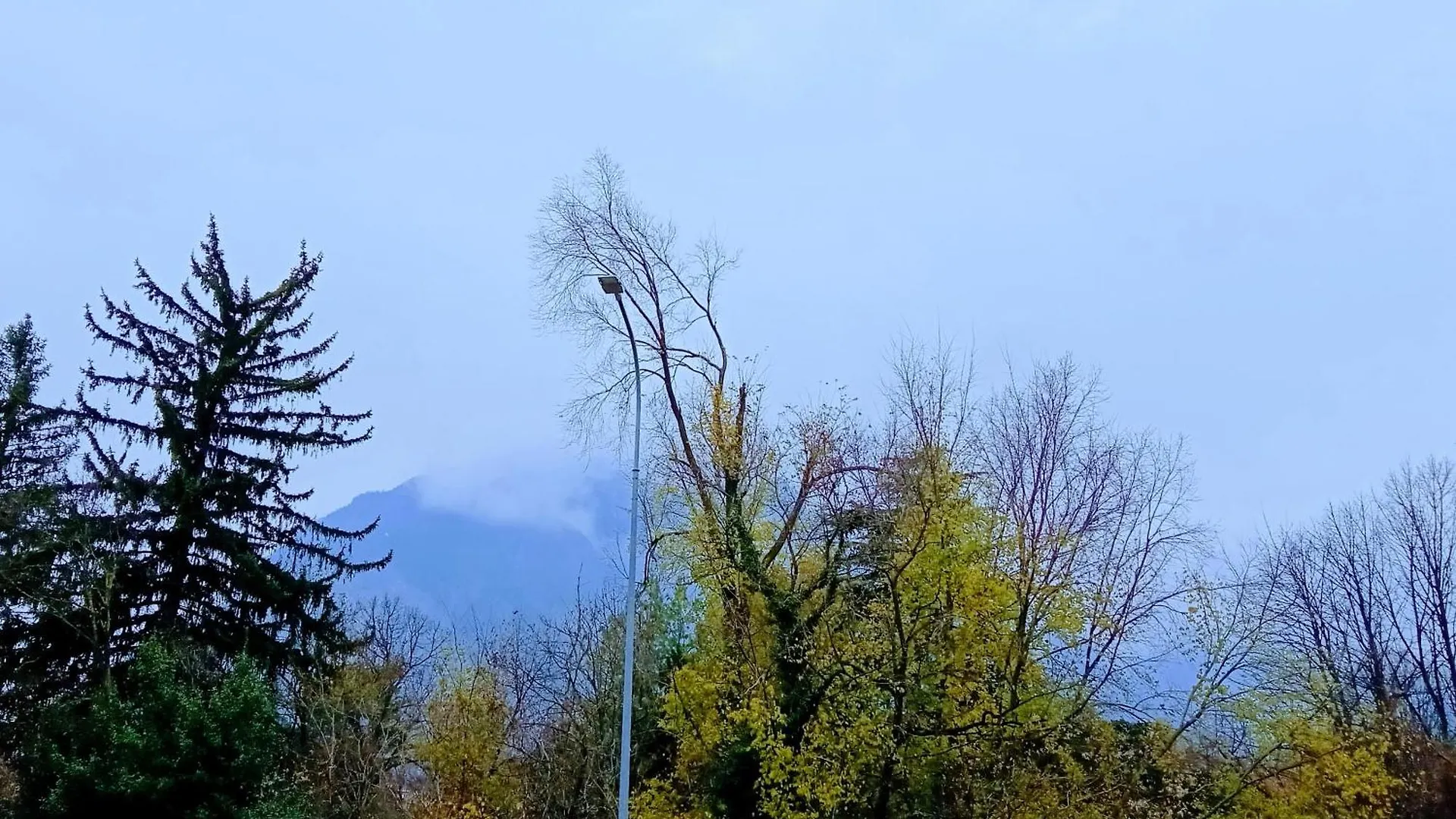 B&B Del Bosco E Del Lago Elimar Lecco 0*,